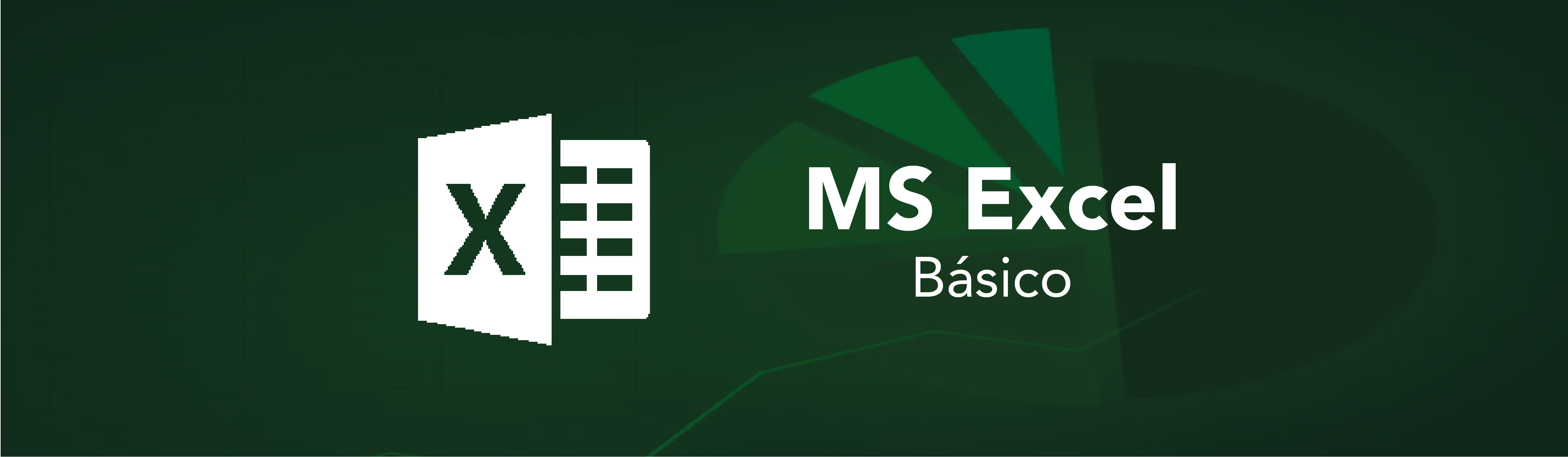 Logo de Excel Básico